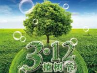 义务植树,放下木材,提倡九游官方网页版-九游（中国）
装饰管!